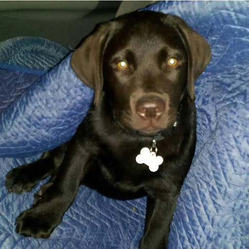 Bluesmen Bluesbrothers