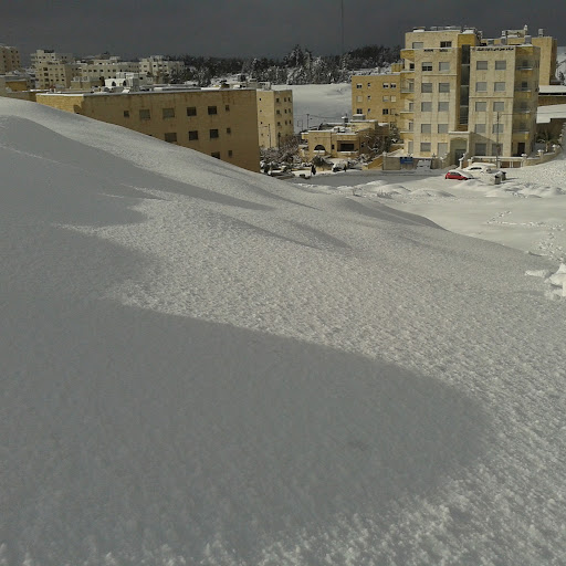 Mohammad Ribhy Fayyad