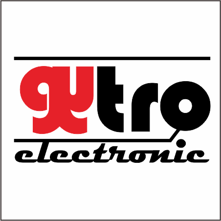 gytro electronic