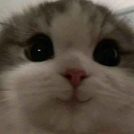 Jessica “Amy” Sautu