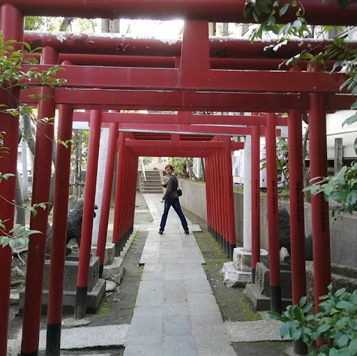 Michael Seraph Braunmiller