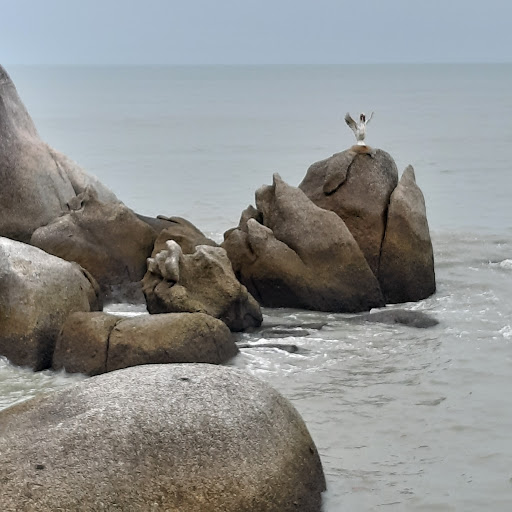 Vijayakumar Jeyabalan