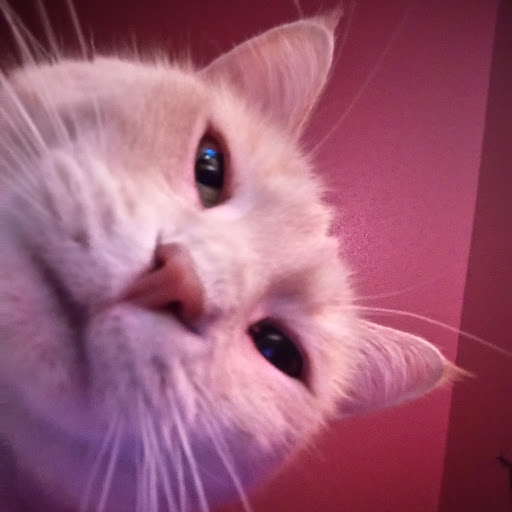 Tyna Christine Schroeder