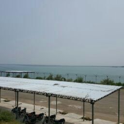 Mian Muhammad Arshad (Ch)