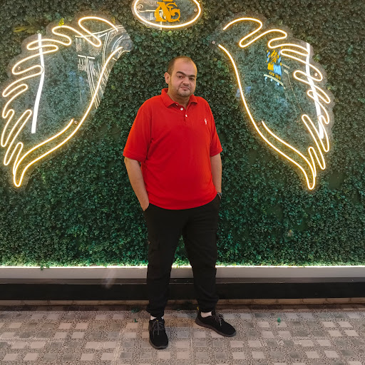 Hamid Elsayed