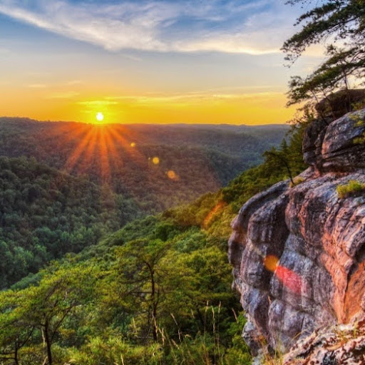 Jessica “Jess” Leviner