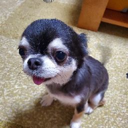 よしm