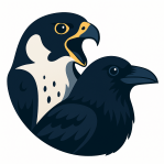 The Falcon & the Crow