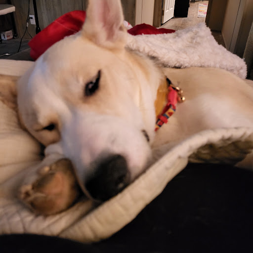 Kristen “Kristen Coffin” Coffin Allen