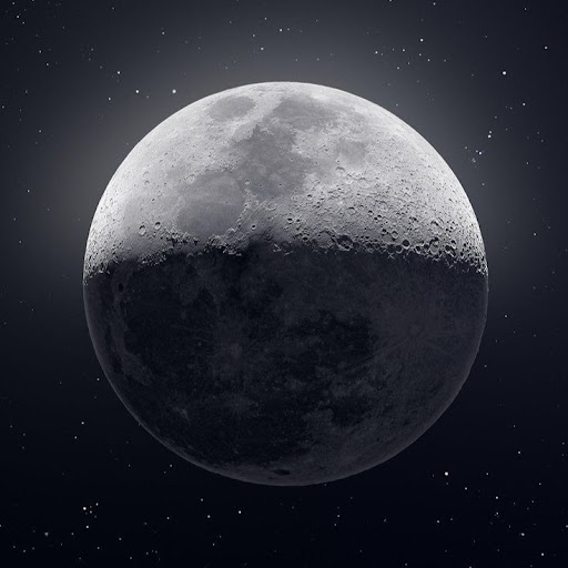 Parham Heidari (Wilden2)