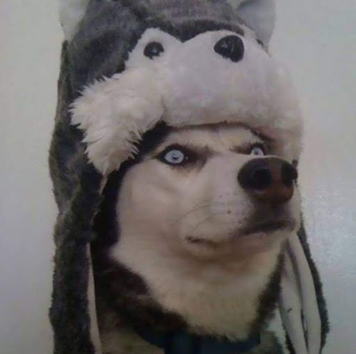 M E