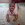 noushad k u