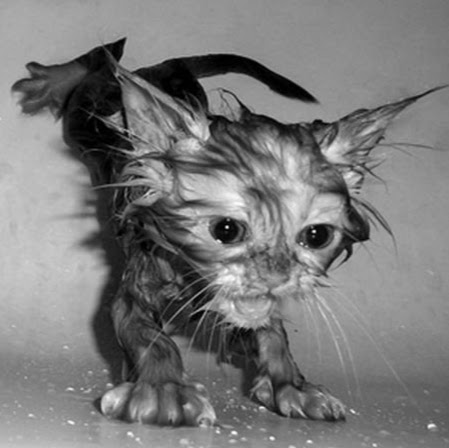 ruaimhsheanta ruaimhsheanta