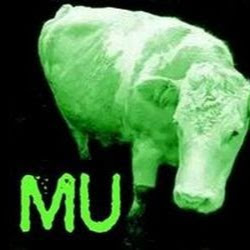 Morgan Williams (WheelOfTheLaw)