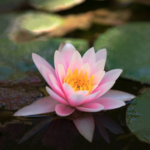 zeinab haghimoghadam