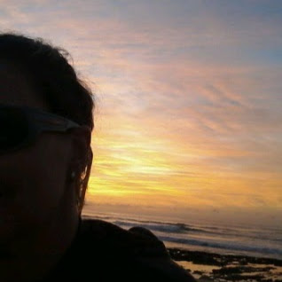 Southern Sun Reviews