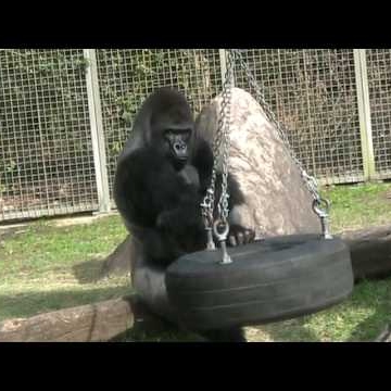 Nathaniel Drowell Jr.