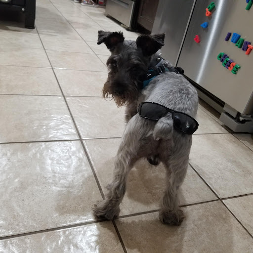 Jose Everardo Diaz Rico