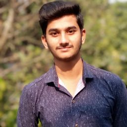 Dip Roy