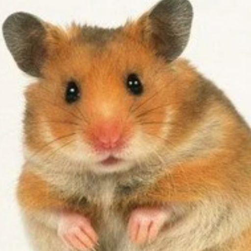 Hamter Hamster