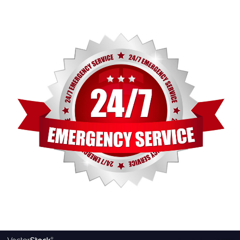 emergencyservice online