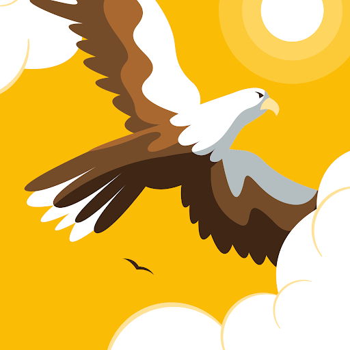 Dr Sajjad ali Sayyed