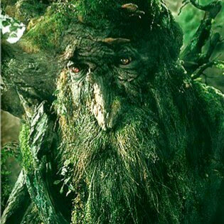 Tree Beard
