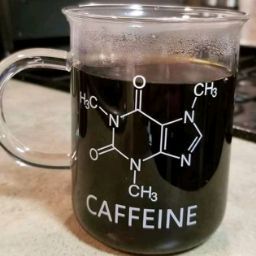 Muhammad Fadhilah Rasyid