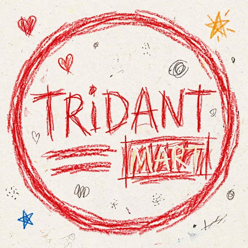 trident anand
