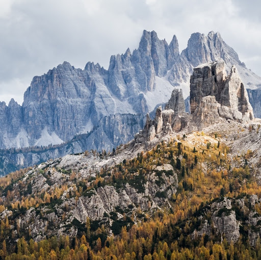 Unchosen Mountain Berry