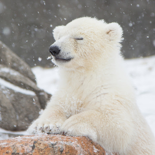 No, I did not catch the game last night Stop asking