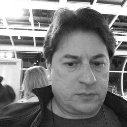 Carlos Irineu da Costa