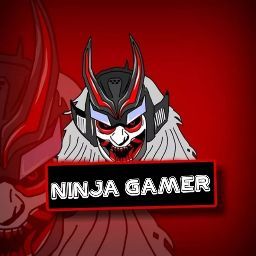 Ninja gamer