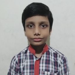 Ayush Mandrai