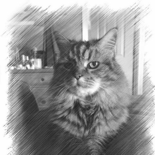 SOUTHERN HOMES OF BOWLING GREEN