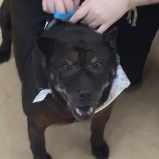 Robert Vernon (Uncle Bob)