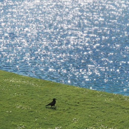 Muhammad “Acappp” Ashraf