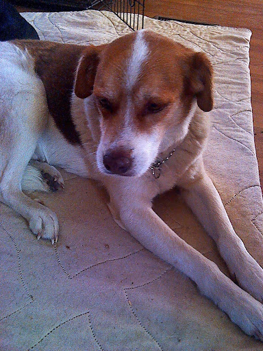 Appropriately Inappropriate