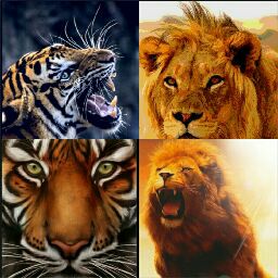 Sanjit pul Sayane pul