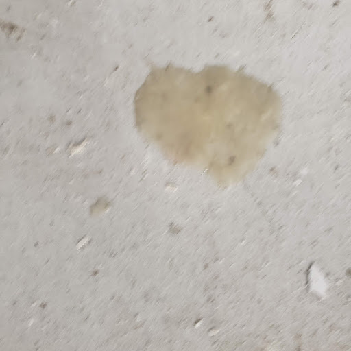 Jay Walking (Rhando guwy)