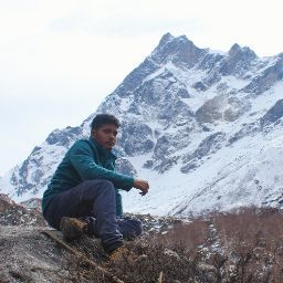 Alok Parida