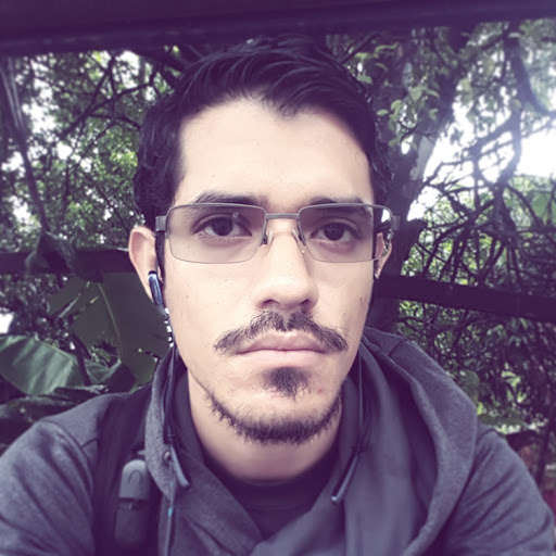 Lorenzo Brenes Viales