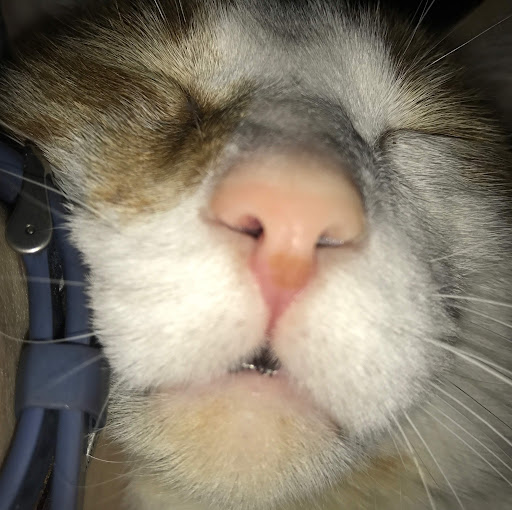 Justin “baseballjustin5” Hughes