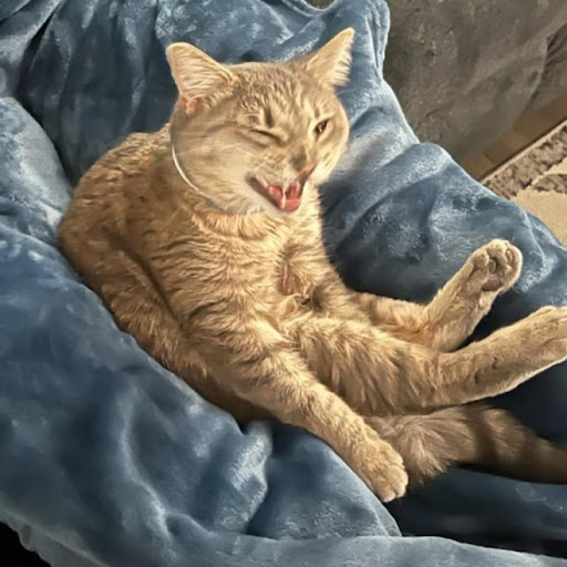 J “LittleBitMighty”