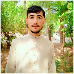 Amir Abbas