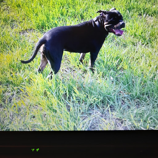 author