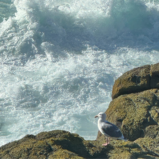 Ginny “GinMarie” Rake