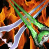 Robert Entertainment