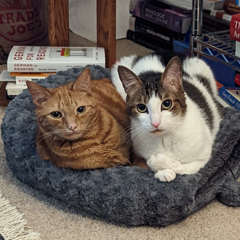 Mitchell Meyerhoeffer