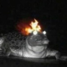 Bingleton Mcgingleton